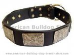 Handcrafted leather dog collar with vintage massive plates