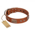 "Great Obelisk" Handcrafted FDT Artisan Tan Leather American Bulldog Collar with Large Plates and Pyramids