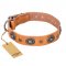 "Twinkle Twinkle" FDT Artisan Incredible Studded Tan Leather American Bulldog Collar