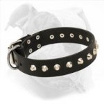 Decorated Leather Dog Collar for American Bulldog