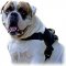 Tracking/Pulling Nylon Dog Harness for American Bulldog