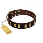 "Peace and Harmony" FDT Artisan Brown Leather American Bulldog Collar with Plates