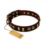 "Golden Elegance" FDT Artisan Brown Leather American Bulldog Collar with Old Bronze-like Decorations