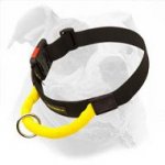 Gorgeous Training and Walking Nylon Collar with Handle and Easy Quick Release Buckle