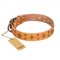 'Top-Flight' FDT Artisan Adorned Tan Leather American Bulldog Collar
