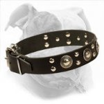 "Silver Knights" Leather Dog Collar for American Bulldog