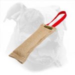 American Bulldog Bite Tug for Puppy Training