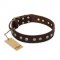 "Bronze Sheen" FDT Artisan Leather American Bulldog Collar with Brass-Plated Studs