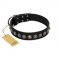 "Black Eagle" Handcrafted FDT Artisan Black Leather American Bulldog Collar with Silver-Like Adornments