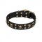 'Jolly Rojer' FDT Artisan American Bulldog Leather Dog Collar with Pirate Skulls and Studs - 1 1/2 inch (40 mm) wide