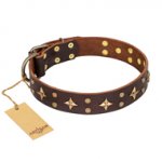 'High Fashion' FDT Artisan Embellished Brown Leather American Bulldog Collar