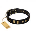 "Fit for Royalty" FDT Artisan Black Leather American Bulldog Collar with Plates and Small Square Studs