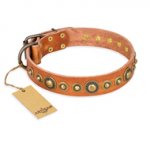 "Feast of Luxury" FDT Artisan Tan Leather American Bulldog Collar with Old Bronze Look Circles