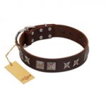 "Needle Stories" Modern FDT Artisan Brown Leather American Bulldog Collar with Square Engraved Plates and Four-Point Stars