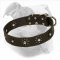 "Elegant Flower" Leather Dog Collar for American Bulldog