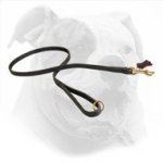 Stitched Leather Dog Leash for American Bulldog
