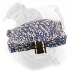 Training Puppy Bite Tug for American Bulldog