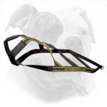 Professional Pulling Harness for American Bulldog - Awesome Web Design
