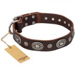"Extra Pizzazz" FDT Artisan Adorned Brown Leather American Bulldog Collar