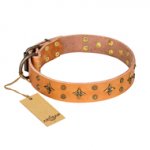 'Top-Flight' FDT Artisan Adorned Tan Leather American Bulldog Collar