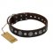 "Victory Ode" FDT Artisan Brown Leather American Bulldog Collar with Silver-like Plated Decorations