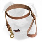 Upgraded Leather Dog Leash for American Bulldog