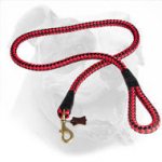 Round Nylon Dog Leash With Brass Snap Hook for American Bulldog