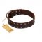"Star Party" Handmade FDT Artisan Brown Leather American Bulldog Collar with Silver-Like Studs