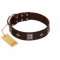 "Cold Star" Designer FDT Artisan Brown Leather American Bulldog Collar with Silver-Like Adornments