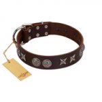 "Silver Sunset" Designer Handmade FDT Artisan Brown Leather American Bulldog Collar
