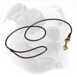 Show Leather Dog Leash for American Bulldog