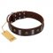 "War Chief" FDT Artisan Genuine Brown Leather American Bulldog Collar with Skulls and Plates