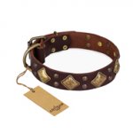 "Golden Square" FDT Artisan Brown Leather American Bulldog Collar with Large Squares