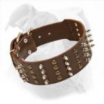 Extra Wide Leather American Bulldog Collar with Spikes and Studs