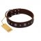 "Pure Sensation" Exclusive FDT Artisan Brown Leather American Bulldog Collar with Fancy Brooches and Studs