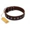 "Spring Flower" Stylish FDT Artisan Brown Leather American Bulldog Collar for Comfy Walks