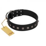 "Natural Beauty" Premium Quality FDT Artisan Black Designer American Bulldog Collar with Dotted Studs