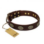 "Chocolate kiss" FDT Artisan Leather American Bulldog Collar with Old Bronze Look Oval Plates