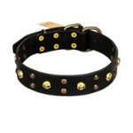 FDT Artisan 'Heavy Metal' Leather American Bulldog Collar with Skulls and Half-Balls 1 1/2 inch (40 mm)