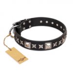 'Space Walk' FDT Artisan Black Leather American Bulldog Collar with Adornments