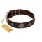 "Flashy Woof" FDT Artisan Brown Leather American Bulldog Collar with Chrome Plated Brooches