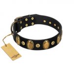 "Venerable Pawty" FDT Artisan Black Leather American Bulldog Collar with Old Bronze-like Ovals and Studs