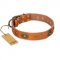 "Dandy Pet" FDT Artisan Handcrafted Tan Leather American Bulldog Collar