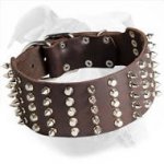 Spiked and Studded Leather Dog Collar for American Bulldog