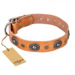 "Twinkle Twinkle" FDT Artisan Incredible Studded Tan Leather American Bulldog Collar