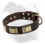 Decorated Leather Dog Collar for American Bulldog
