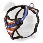 American Bulldog Leather Agitation Harness Handpainted with the Symbols of the USA Flag