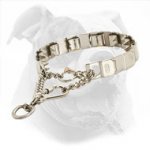 Stainless Neck Tech Prong Dog Collar for American Bulldog