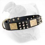 Fashion Leather Dog Collar with Nickel Spikes & Studs and Brass Plates for American Bulldog