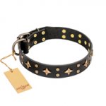 'A La Mode' FDT Artisan Handcrafted Black Leather American Bulldog Collar